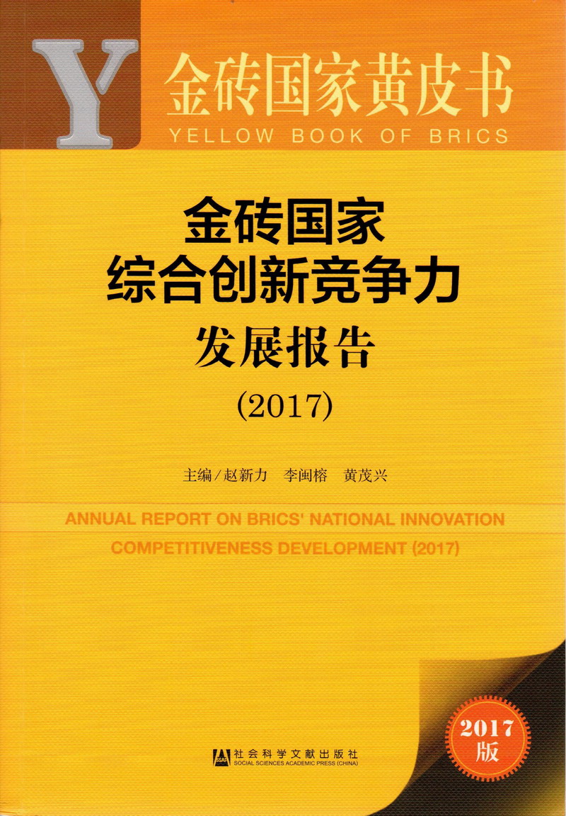 小骚逼勾引被爆操视频金砖国家综合创新竞争力发展报告（2017）